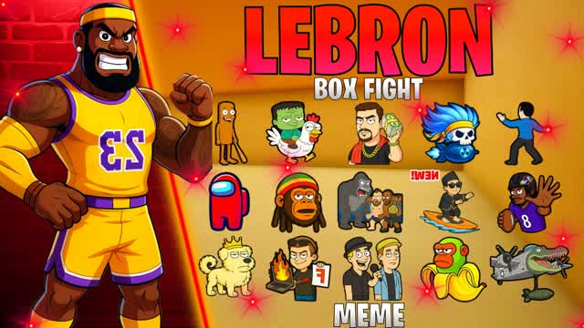 LEBRON BOX FIGHT🏀📦