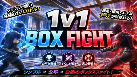 1v1 box fight