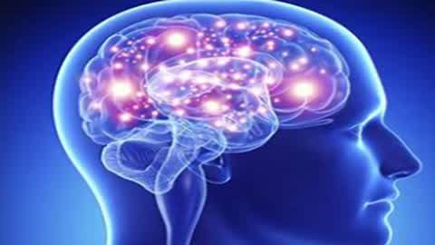 Big Brains Boss Battle