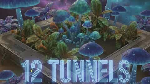 12 TUNNELS