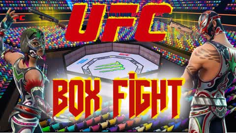UFC BOXFIGHT
