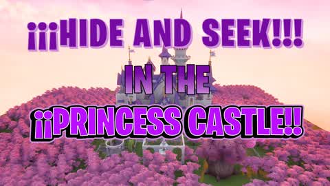 ¡¡¡Hide and seek in Princess Castle!!!