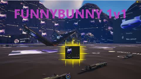 Funnybunny 1v1