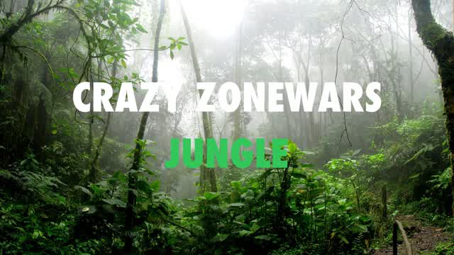 CRAZY JUNGLE ZONEWARS