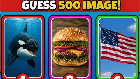 GUESS THE IMAGE / PICTURE