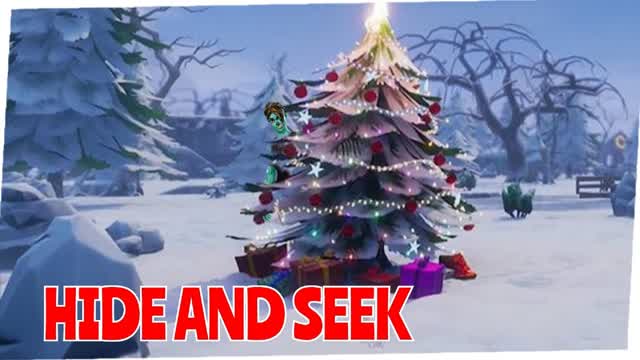 Christmas Hide And Seek !
