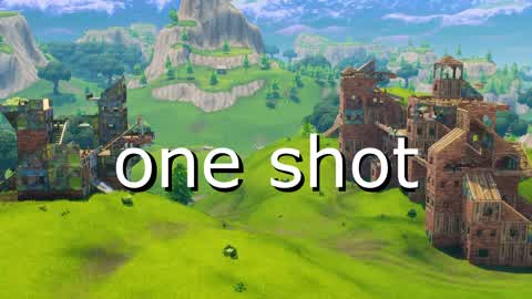 one shot fight