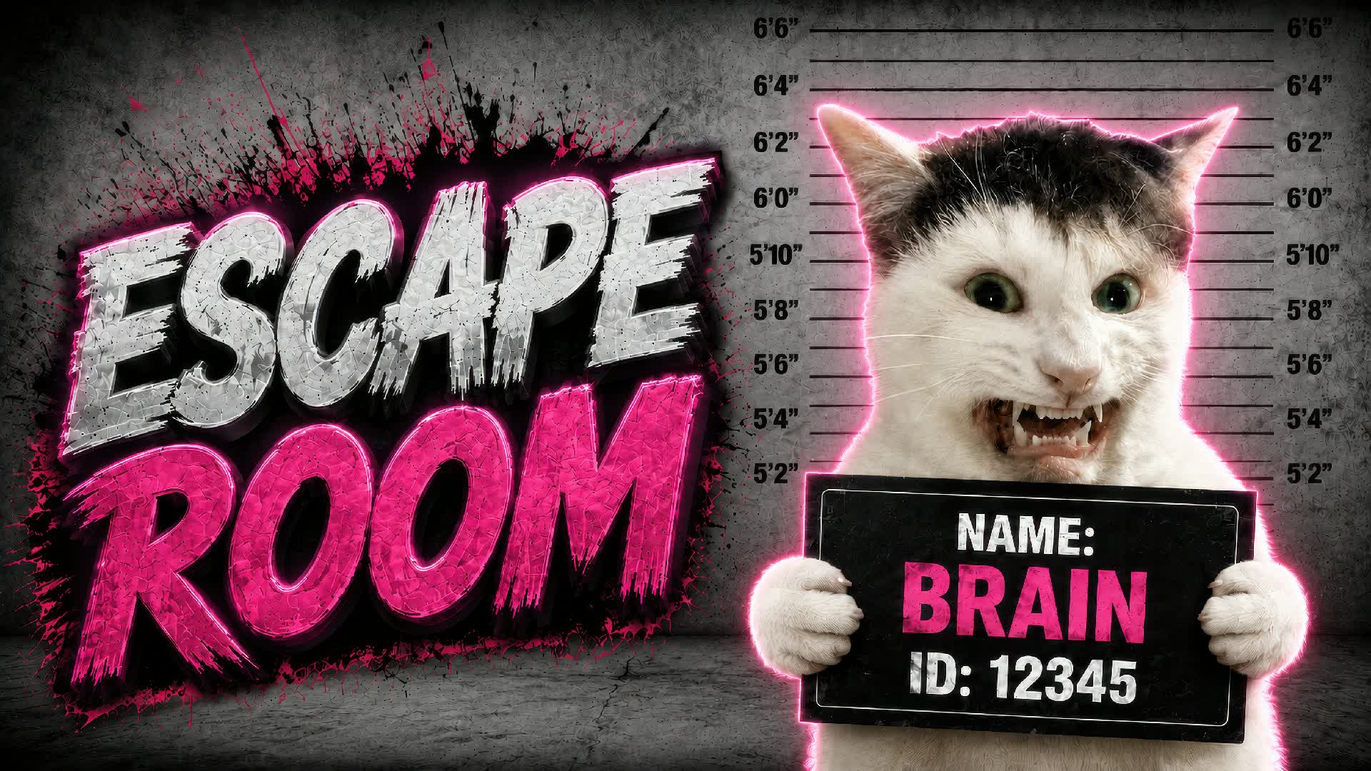 CAT MEME Escape Room