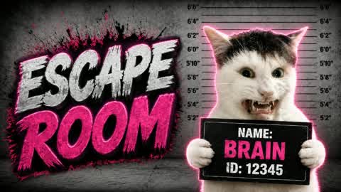CAT MEME Escape Room