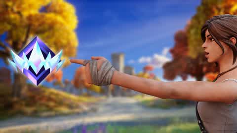 mini mini box fight priss contrôle