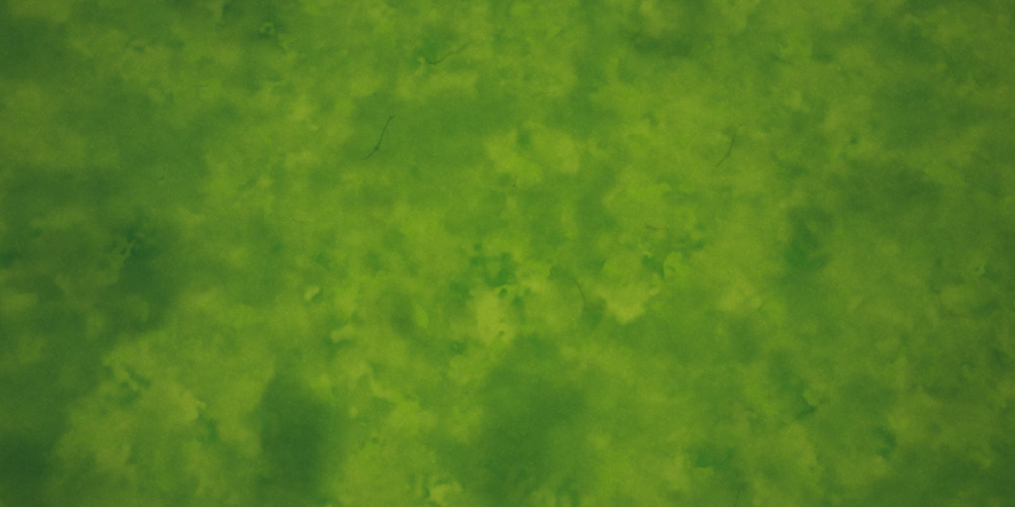 Map Image 2
