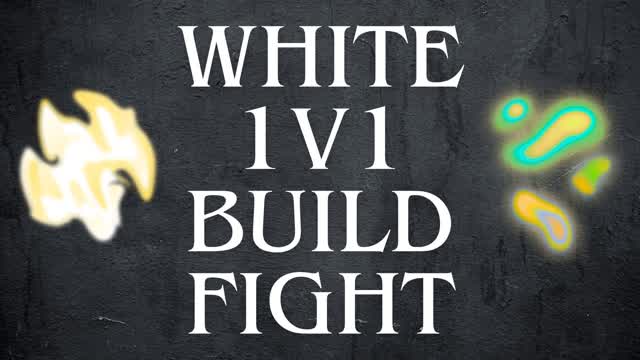 WHITE BUILD FIGHT