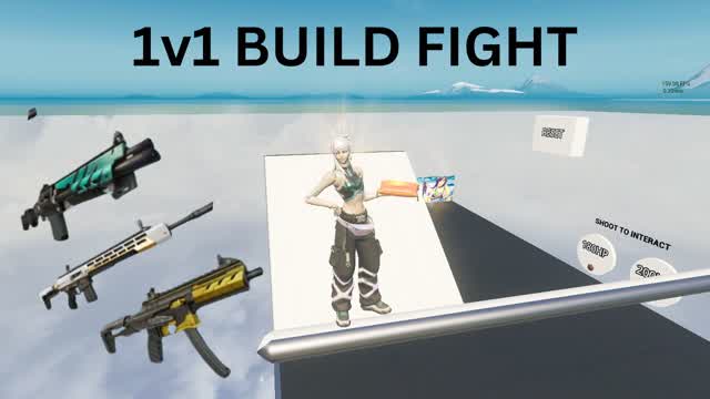 1v1