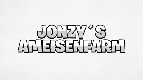 Jonzy´s Ameisenfarm 🐜