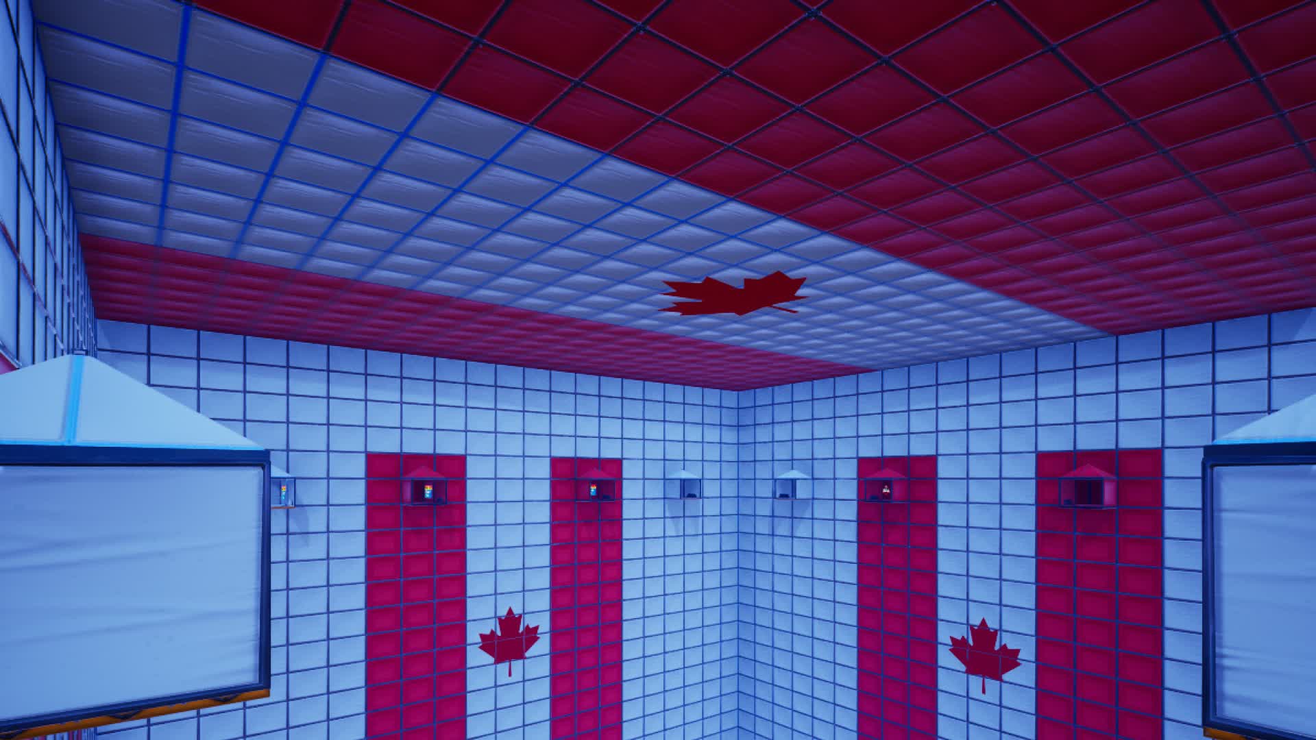 كندا🥇🏆🇨🇦 カナダ SCRIMS🌌🌙