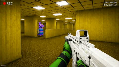 BACKROOMS ALL GUNS RVB