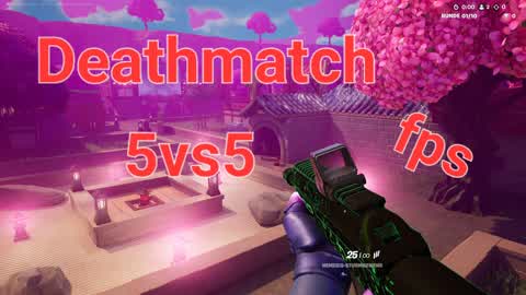 5vs5 Deathmatch (fps)