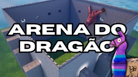 Dragon Arena 1 x 1