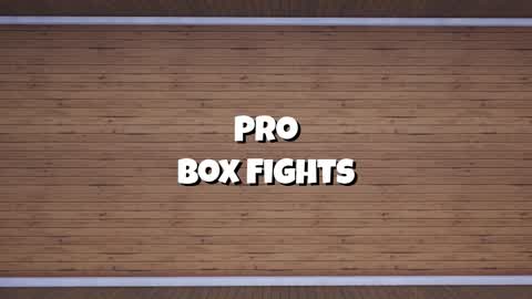 Pro Box Fights