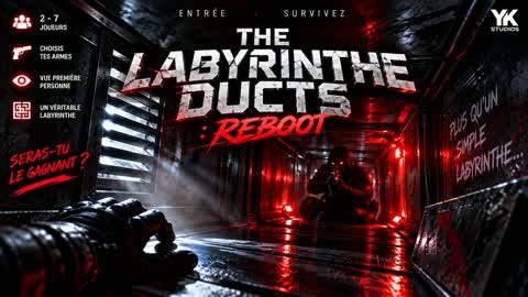 THE LABYRINTH DUCTS