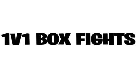 1V1 BOX FIGHT