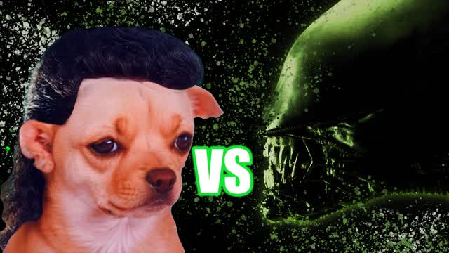 Mullet Dog Mountain: Mars Attack