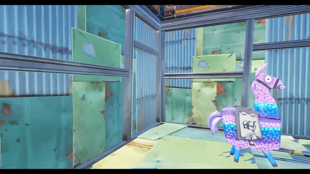 Capture 1 – Capture the Llama first