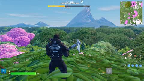 Green Land Silence Forest