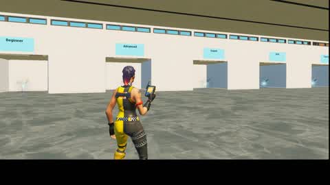 Edit and Mechanic Trainer