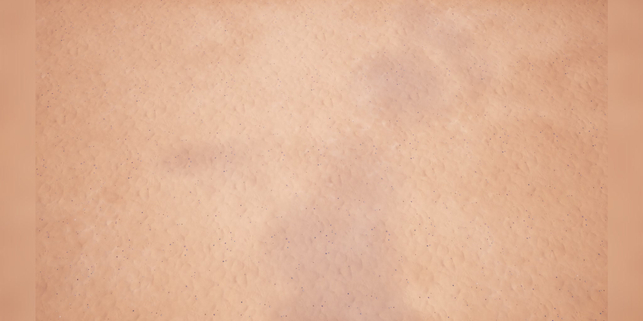 Map Image 2
