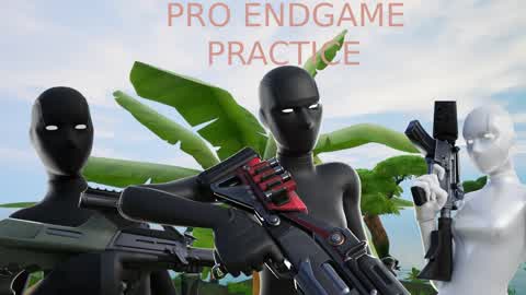 (pro) ENDGAME PRACTICE V2