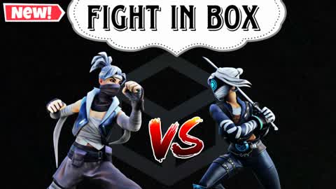 Fight in box