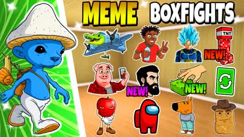 COOL MEME BOXFIGHTS 😹
