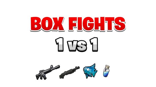 BOX FIGHT 1vs1