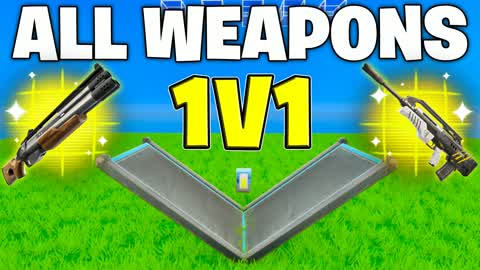 1V1 W