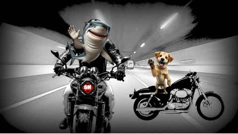 Fast running