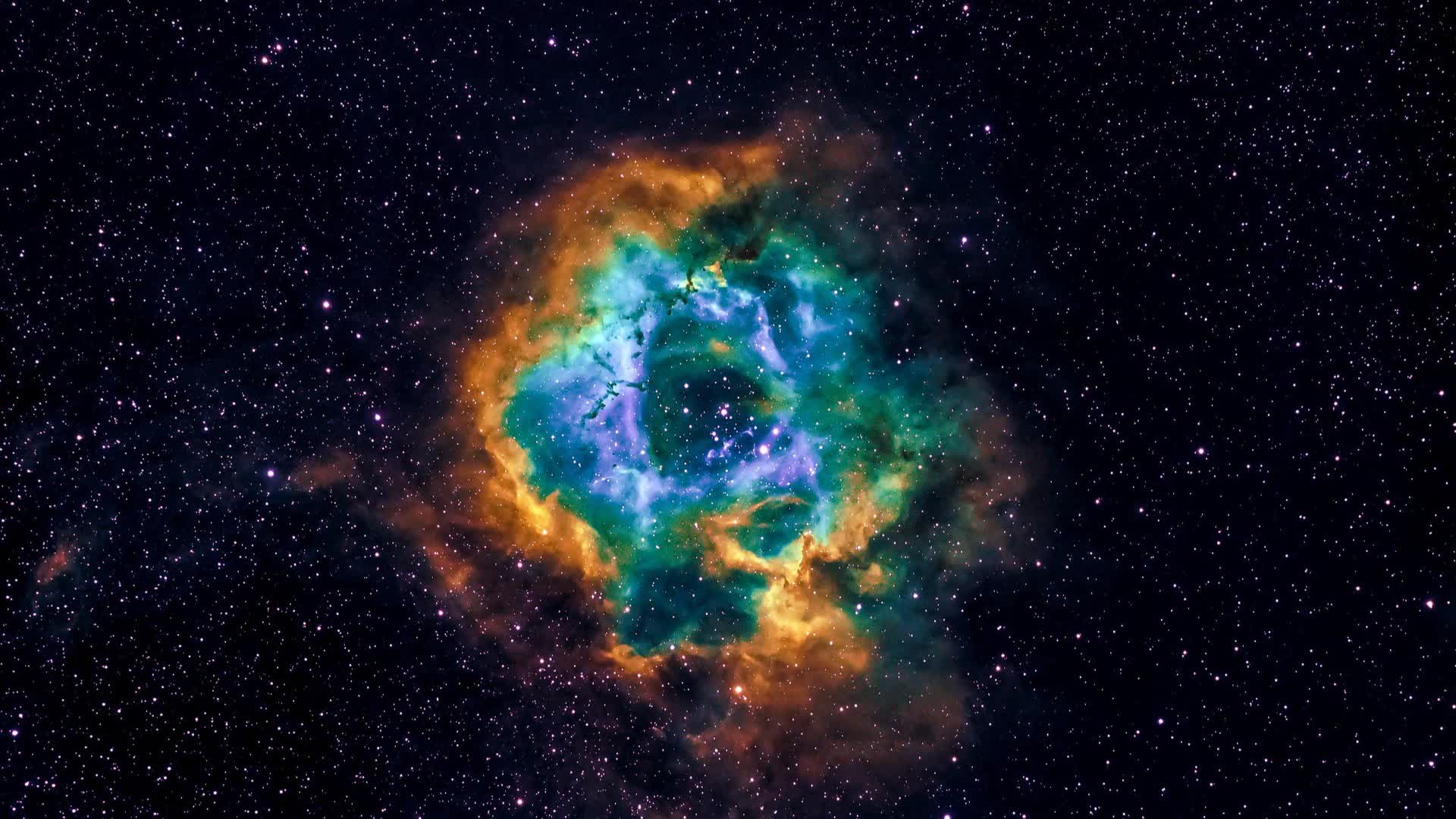 CFC| 5v5 CQC TDM with NO Respawns