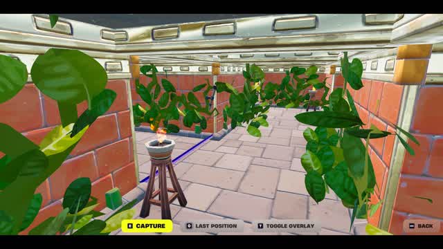 Capture 2 – Doge The Firewalls!