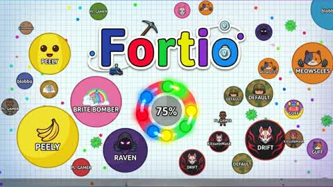 Fort.io