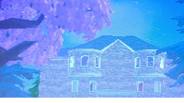 Cache cache christmas