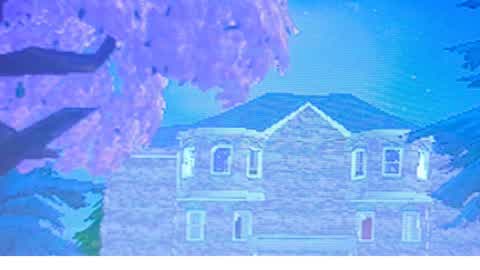 Cache cache christmas