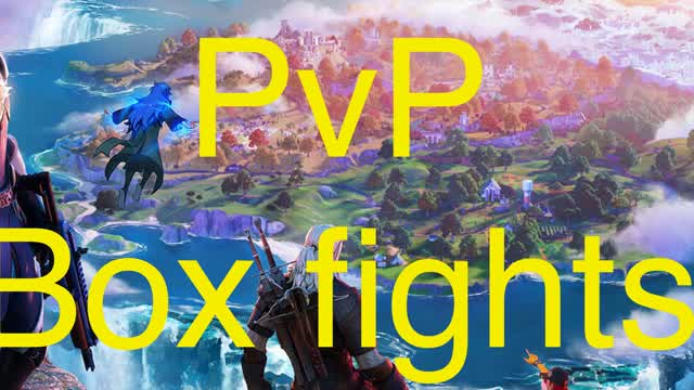 PvP Box fight