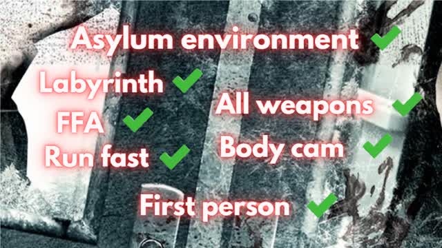 Asylum environment