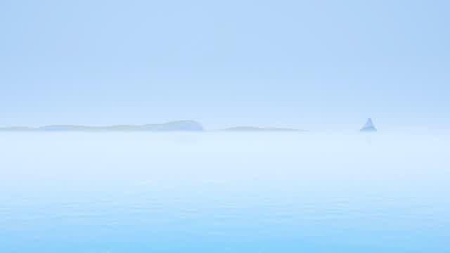 Capture 1 – JT FFA