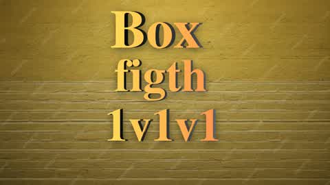 Box Fight 1v1