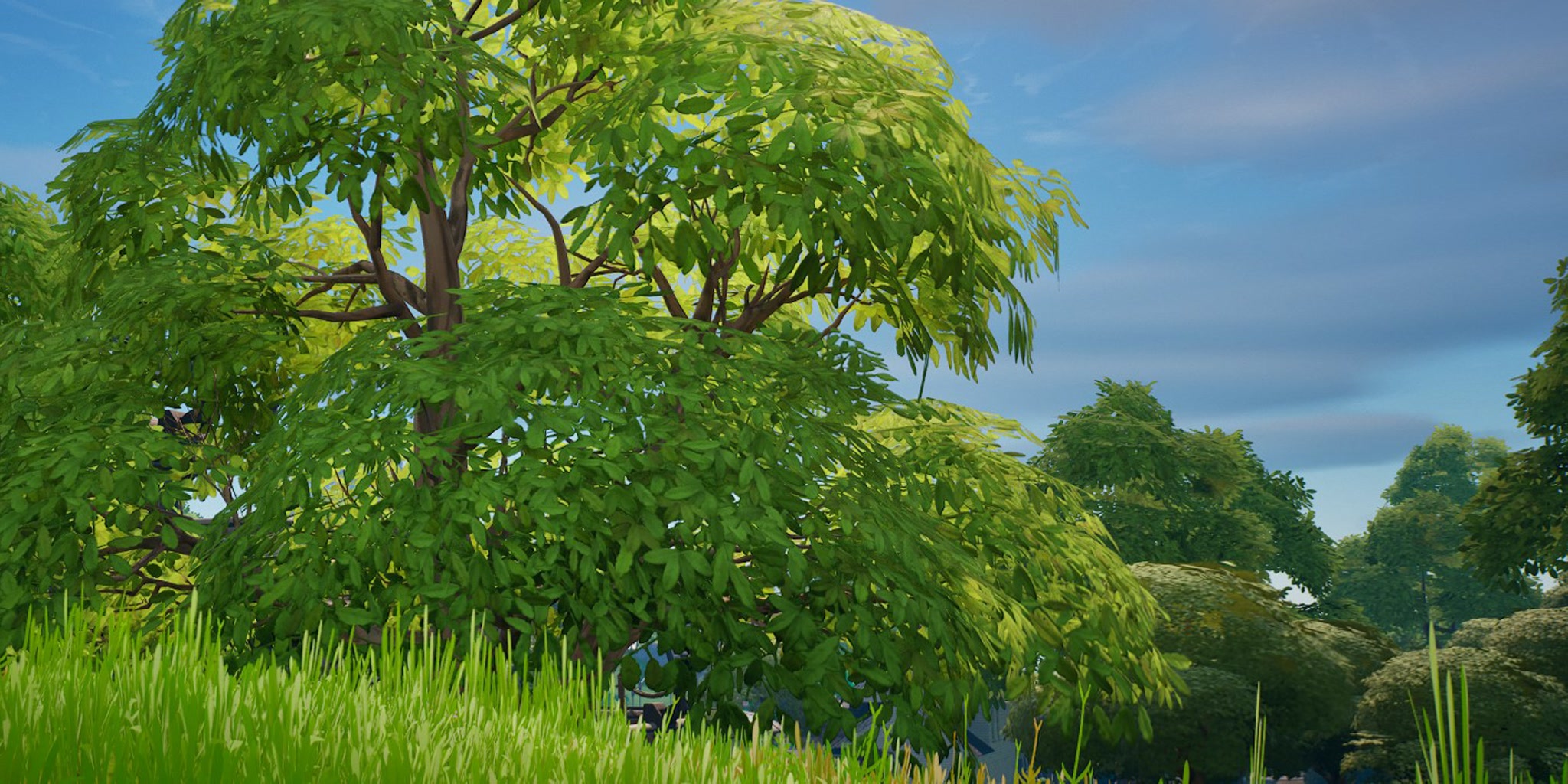 ESCONDITE ISLAND CACHE CACHE HIDE & SEEK