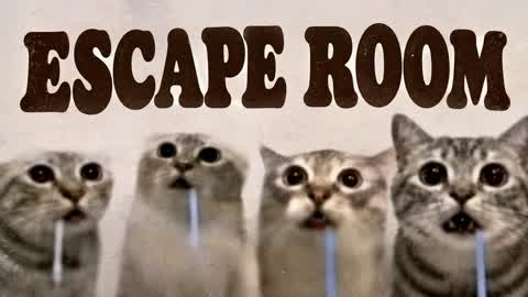 🐱 Meme Cats Escape Room