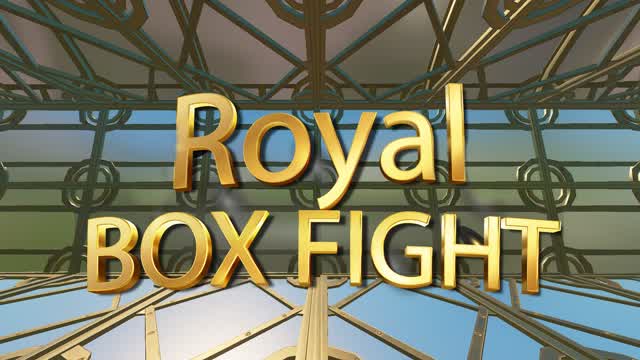 Capture 1 – ROYAL BOX FIGHT