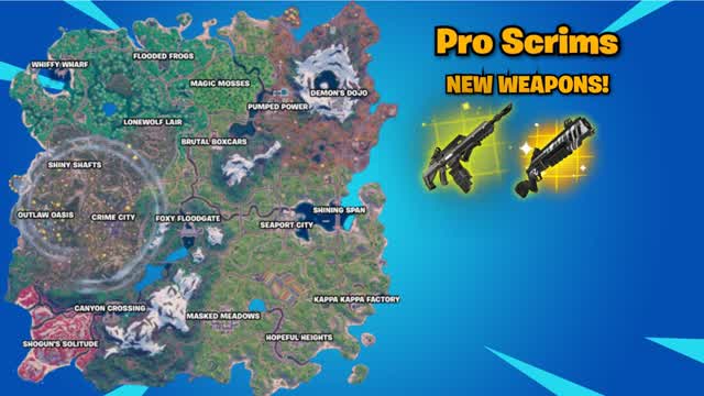 Pro Scrims