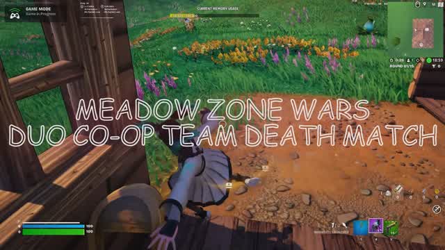 Meadow Island Zone Wars Duo Co-op Team